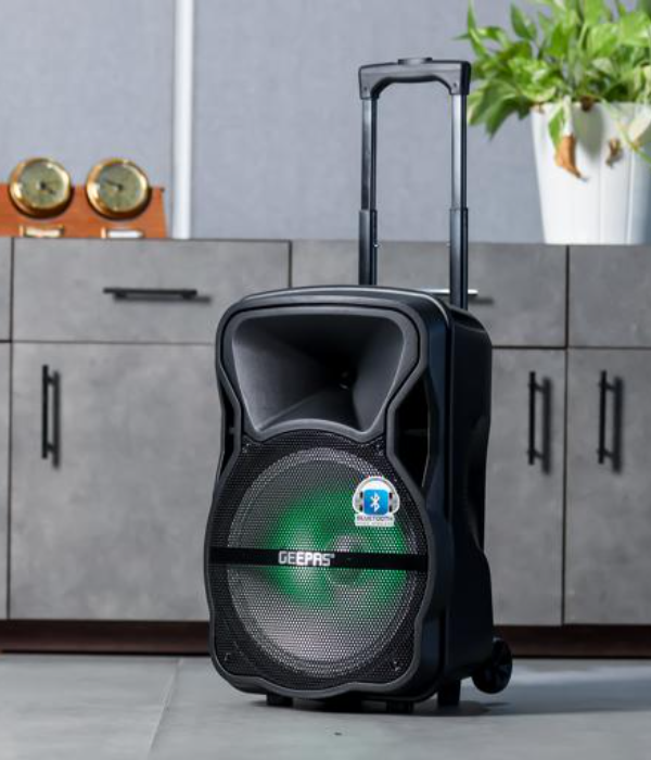 Port&Rech Prof Spkr/Usb/Sd/Fm/Mic/Bt1x1