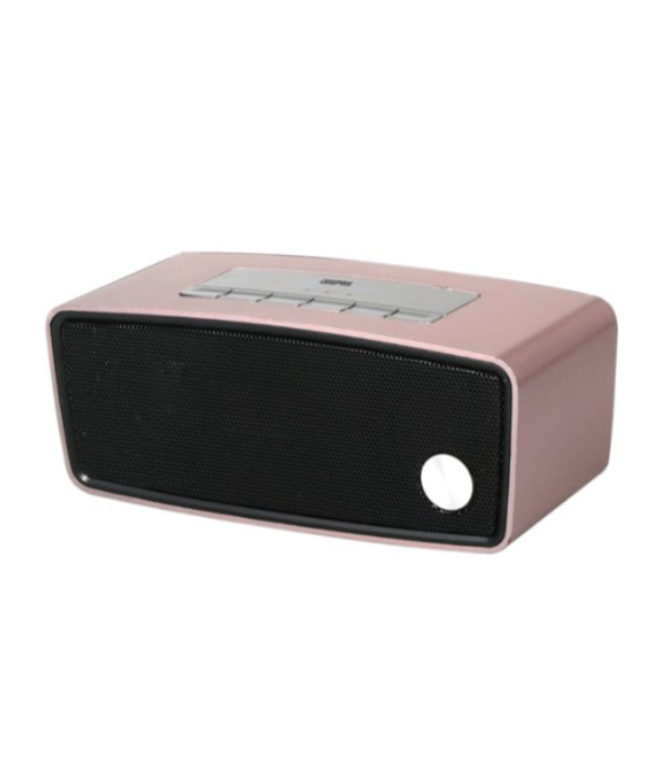 Rech BT Spkr/Usb/Tf/Fm/Aux/Blt InMic1x20