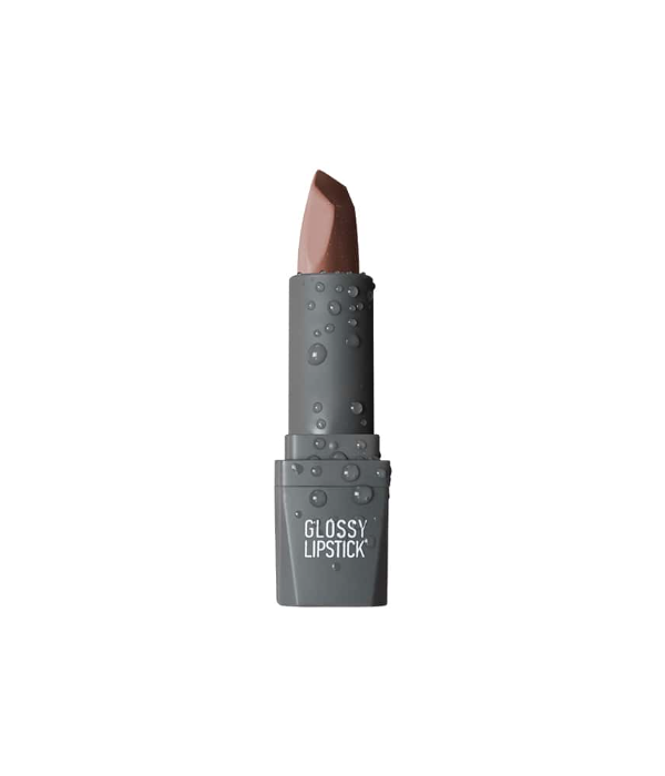 Alix Avien Glossy Lipstick - Shade - 308 Terracotta Nude