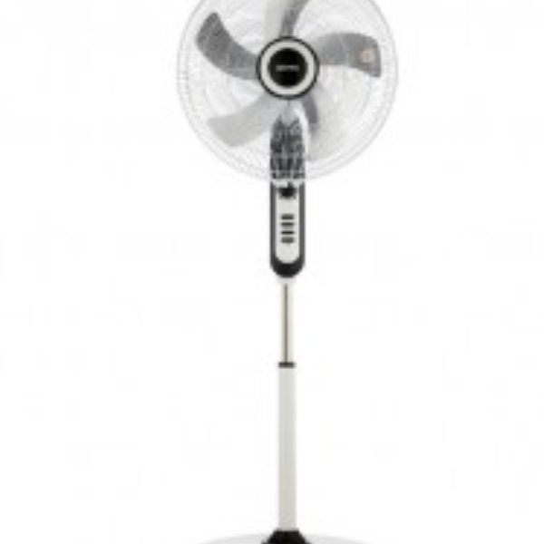 Stand Fan