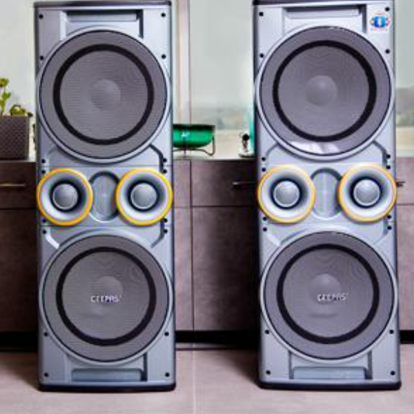 Geepas 2.0 Channel Professional Speaker