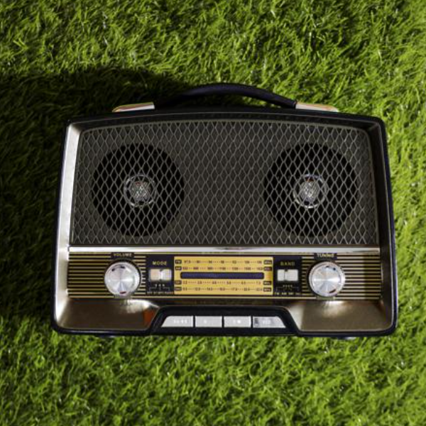 Geepas Rechargeable Radio with Bluetooth,3-Band Radio