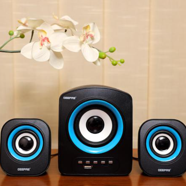 2.1 COMPUTER SPEAKER
