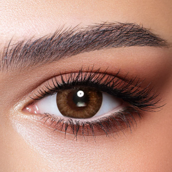 BELLA ONE DAY COLOR	Almond Brown Plano