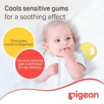 Pigeon Cooling Teether - Trumpet - Image 3
